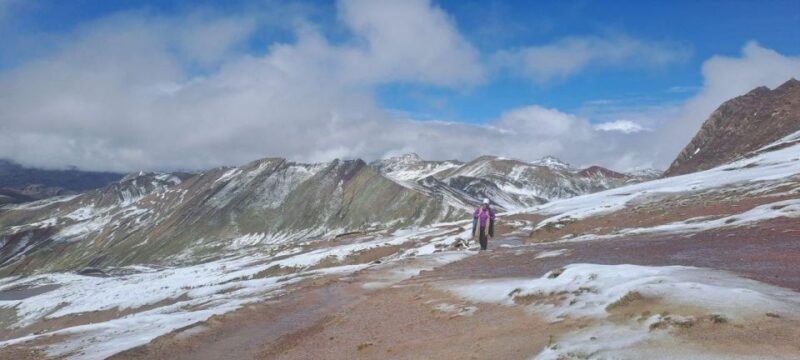 From Cusco: Full Day Palcoyo Rainbow Mountain Tour - Itinerary and Experience