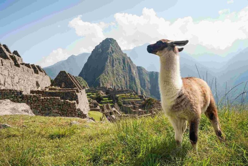 FROM Cusco: Full Day Tour of Machu Picchu With Entrance Tickets - Group Size and Guide