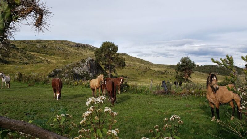 From Cusco: Huchuy Qosqo 2-Day Horse Riding Trip - Day 2: Pukamarca to Huchuy Qosqo
