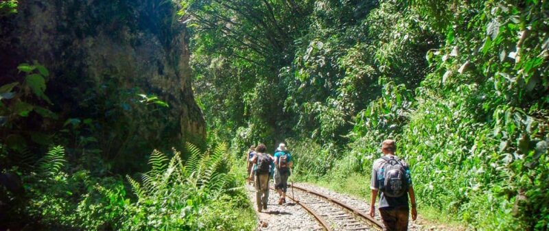 From Cusco: Inca Jungle Adventure and Trek 3 Days 2 Nights - Itinerary Highlights