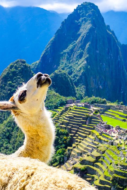 From Cusco: Inca Trail 2DAYS With Night in Machupicchu - Day 1: Cusco to Machupicchu