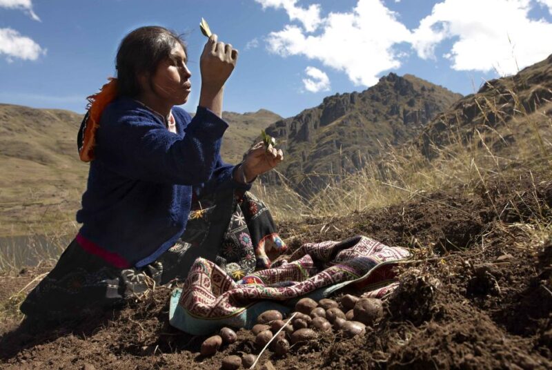 From Cusco: Indigenous Potato Farm Cultural Experience - Key Points