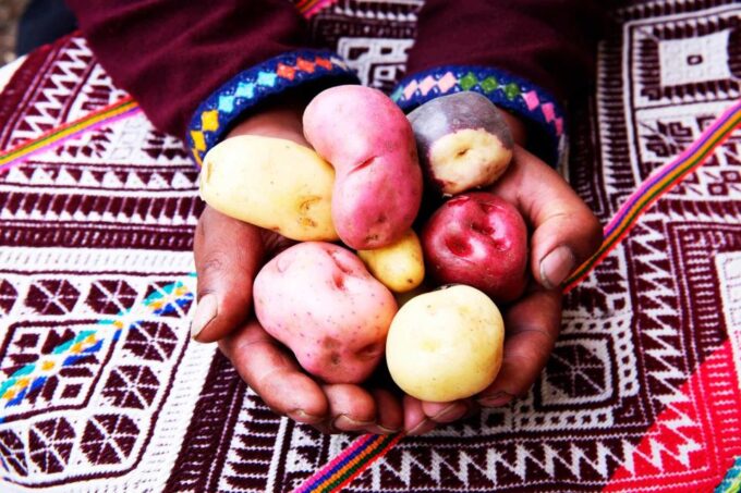 From Cusco: Indigenous Potato Farm Cultural Experience - Frequently Asked Questions