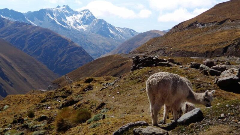 From Cusco : Inka Jungle Tour Machu Picchu 4 Days/3 Nights - Frequently Asked Questions