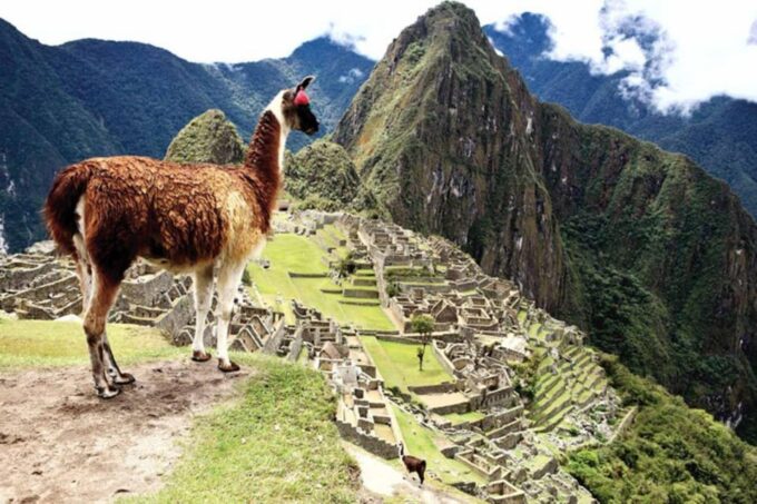 From Cusco: Machu Picchu by Train With Train/Entry Tickets - Contact and Availability