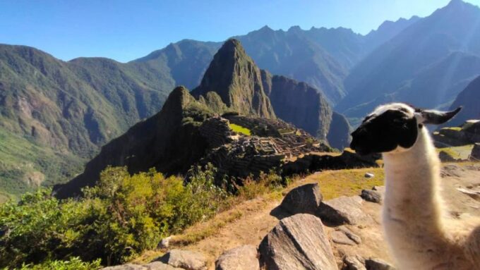 From Cusco: Machu Picchu & Cusco Classic 5 Days - Included Services and Amenities