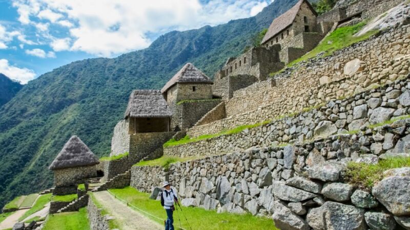 From Cusco: Machu Picchu Day Trip - Inclusions