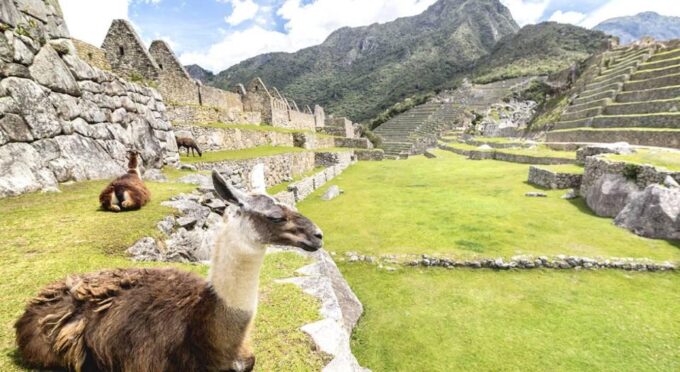 From Cusco: Machu Picchu Day Trip - Customer Reviews