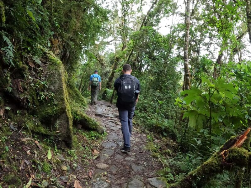 From Cusco: Machu Picchu Guided Day Trip With Inca Trail … - Itinerary and Experience