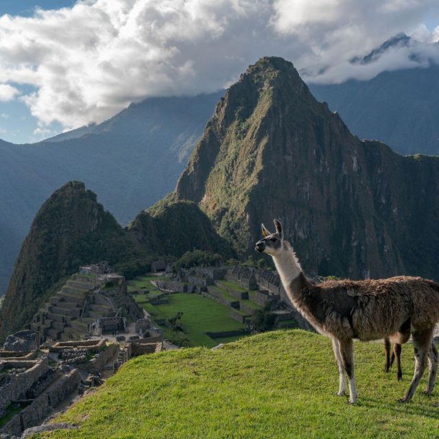 From Cusco: Machu Picchu + Huayna Picchu Mountain - Key Points