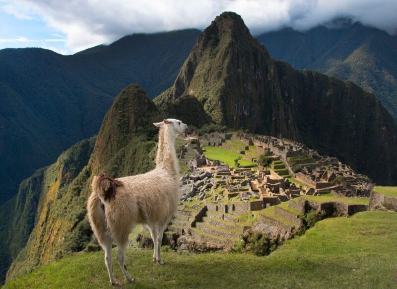 From Cusco: Machu Picchu + Huayna Picchu Mountain - Booking Information
