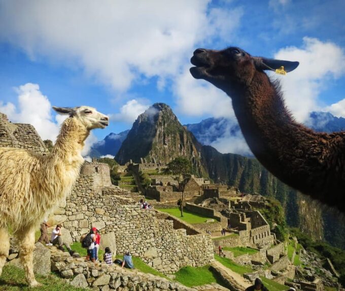 From Cusco: Machu Picchu Tour 1-Day by Train + Lunch - Cancellation Policy