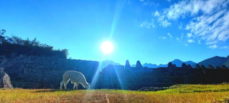 From Cusco: Machu Picchu Tour With Hiking Ticket - Itinerary