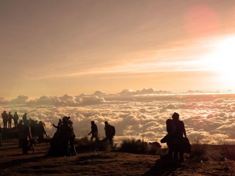 From Cusco: Manu Biosphere Peru 6 Days - Key Points