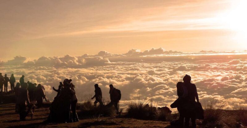 From Cusco: Manu Biosphere Peru 6 Days - Itinerary Highlights