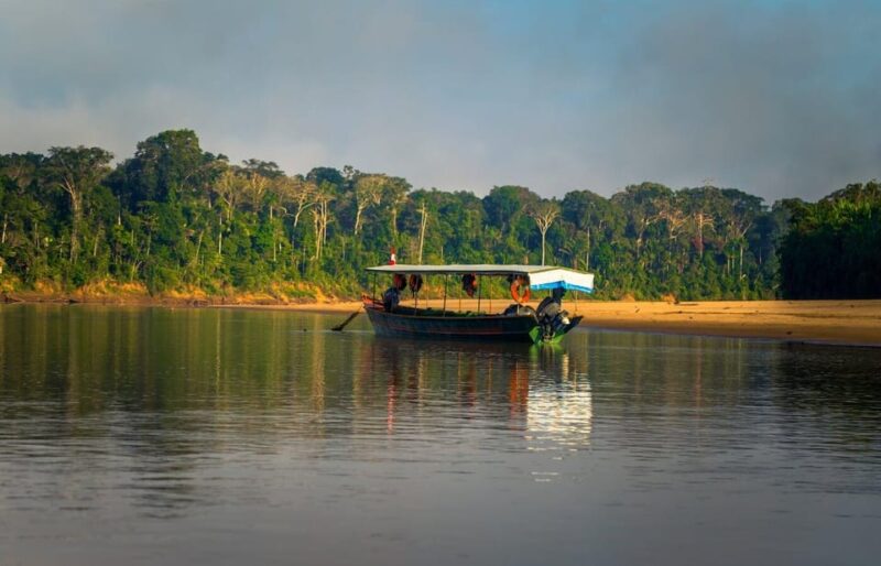 From Cusco | Manu Jungle Excursion 7D/6N | Wonders of Manu - Wildlife Observation