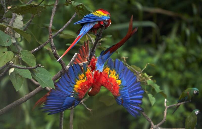 From Cusco: Manu National Park 3 Day Tour - Preparation and Important Information