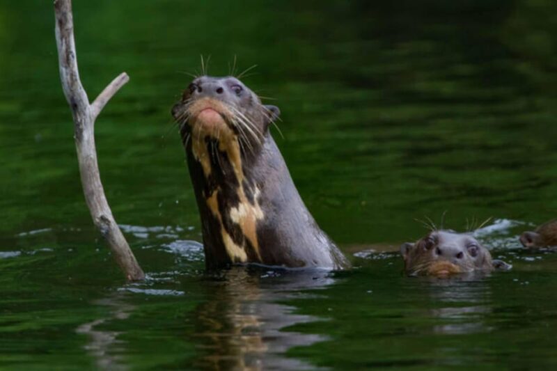From Cusco | Manu National Park 3 Days - All Included - Itinerary Details