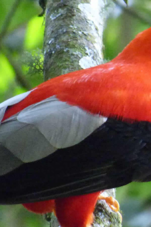 From Cusco | Manu National Park 3 Days - All Included - Inclusions