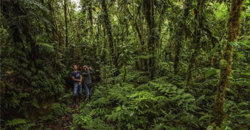 From Cusco: Manu National Park 3 Days and 2 Nights - Key Points