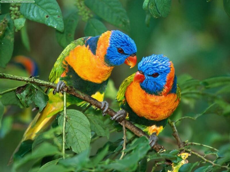 From Cusco: Manu National Park 3Days - Frequently Asked Questions