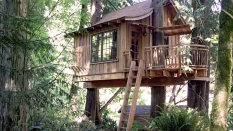 From Cusco: Manu Tree House 4 Days/3 Nights - Included Amenities
