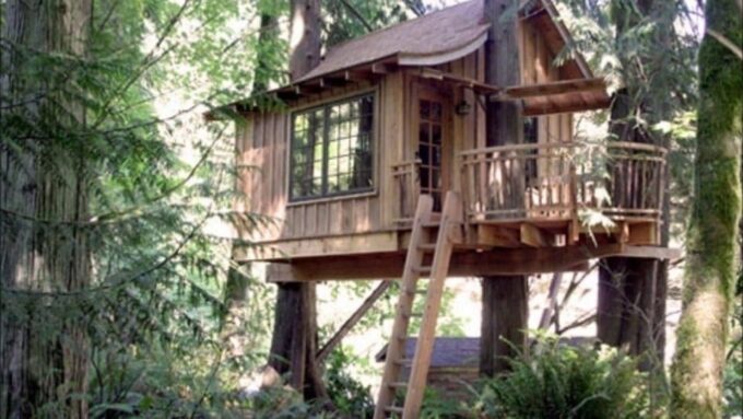 From Cusco: Manu Tree House 4 Days/3 Nights - Pickup and Arrival