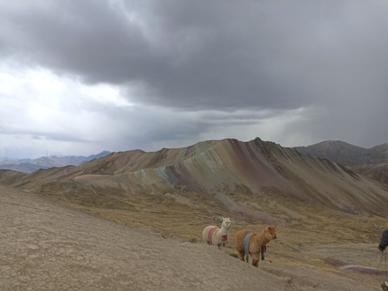 From Cusco: Palccoyo Rainbow Mountain Guided Tour - Highlights