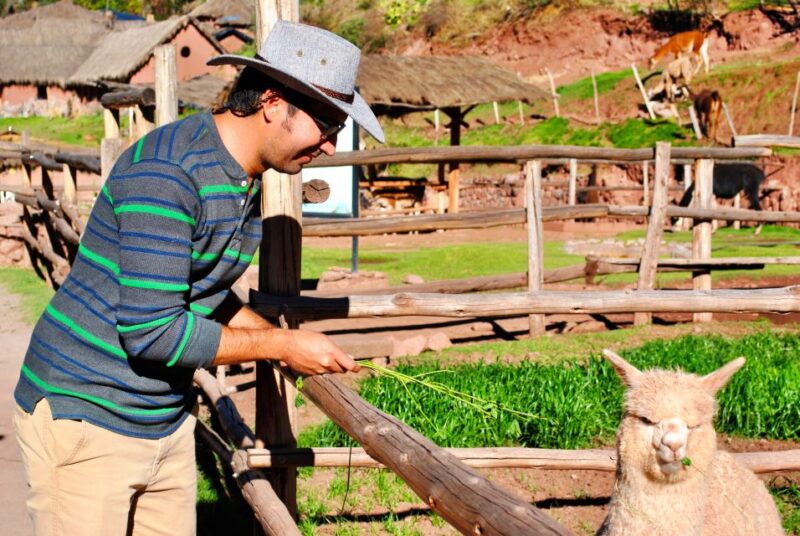 From Cusco: Private Pisac Ruins and Alpaca Farm Day Trip - Key Points