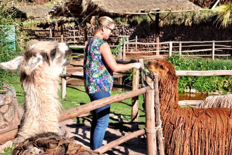 From Cusco: Private Pisac Ruins and Alpaca Farm Day Trip - Duration and Pricing