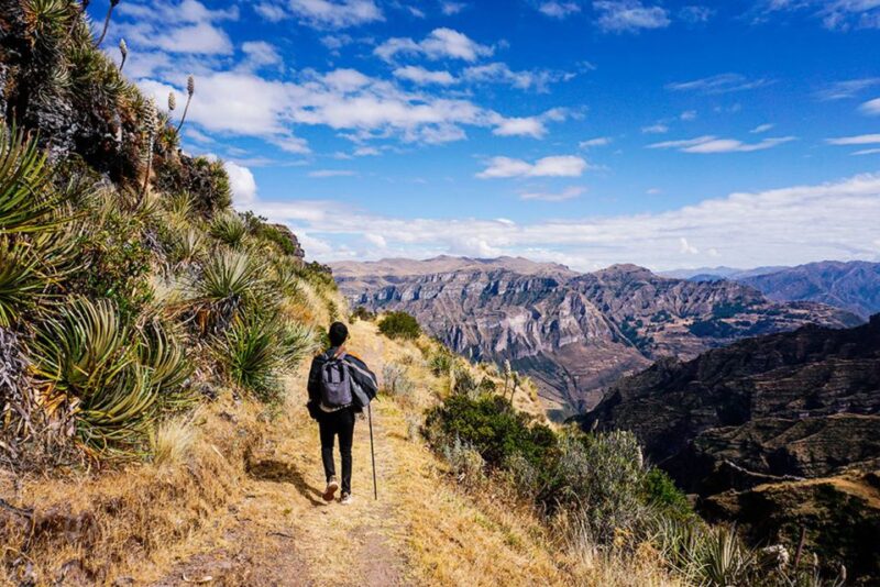 From Cusco| Private Service Waqrapukara the Inca Fortress - Itinerary Details