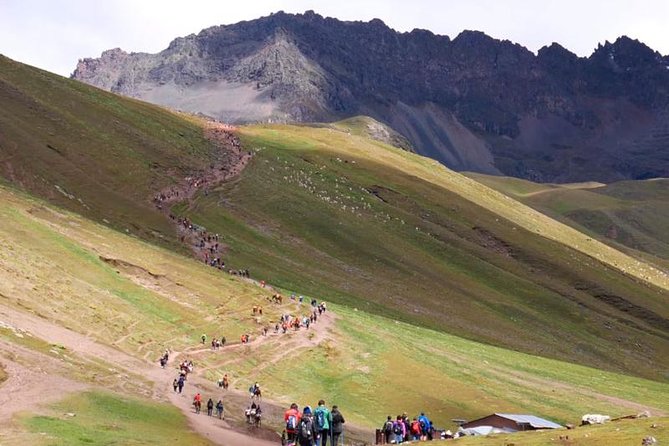 From Cusco: Rainbow Mountain 1-Day + Meals - Travel Experience