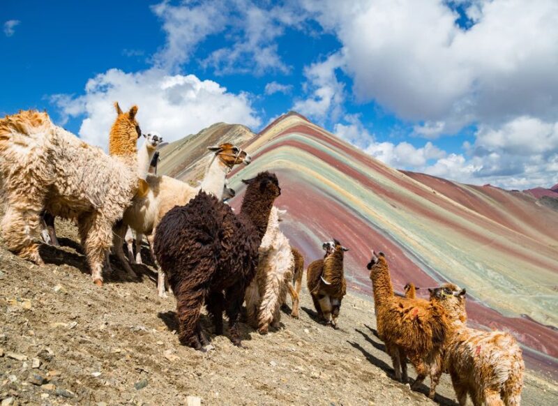 From Cusco | Rainbow Mountain in ATV - Itinerary Details
