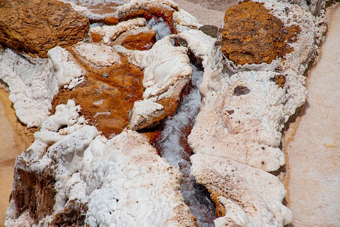 From Cusco: Sacred Valley and Moray Salt Mines - Inclusions