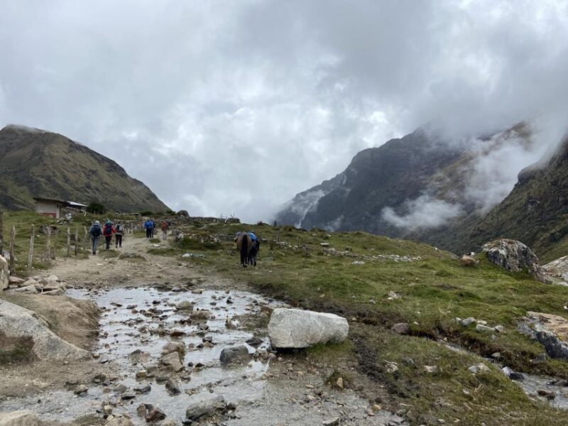 From Cusco: Salkantay Trek 5 Days 4 Nights - Key Points