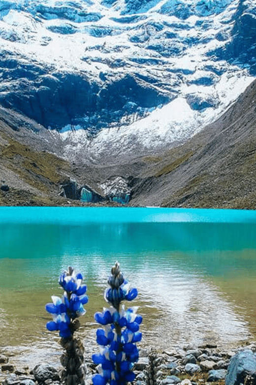 From Cusco: the Top 4 Most Requested Tours All Inclusive - Daily Itinerary