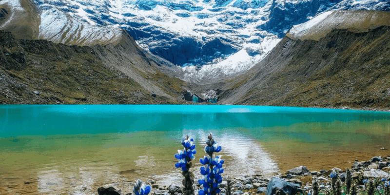 From Cusco: the Top 4 Most Requested Tours All Inclusive - Included Features