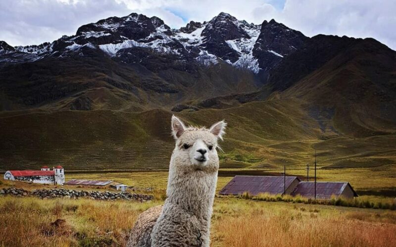 From Cusco: Titicaca Lake With the Route of the Sun in 2 Day - Day 2 Highlights