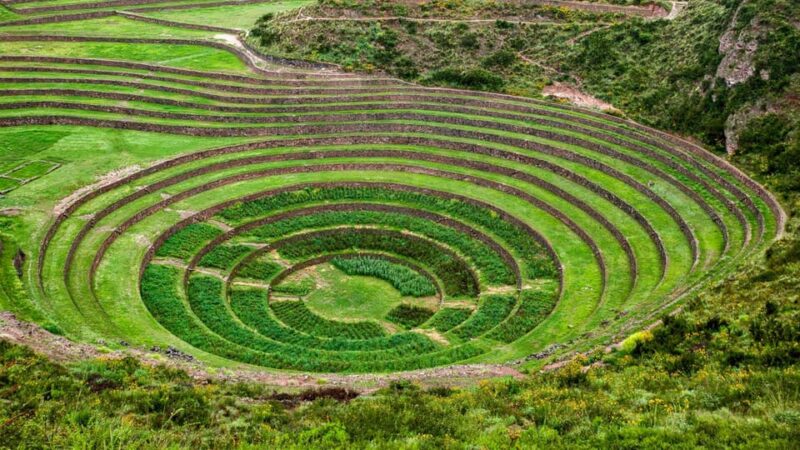 From Cusco: Tour 9DAYS 8nights With Food - Key Points