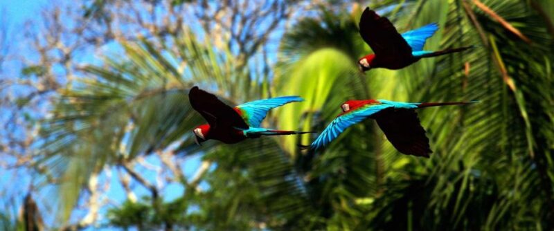 From Cusco: Tour Manu – Tambopata – Puerto Maldonado 8D/7N - Included Amenities