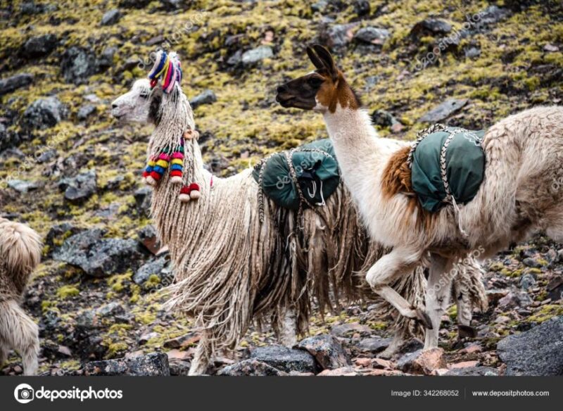 From Cusco: Tour to Chinchero/Maras/Moray+Picnic - Itinerary Breakdown
