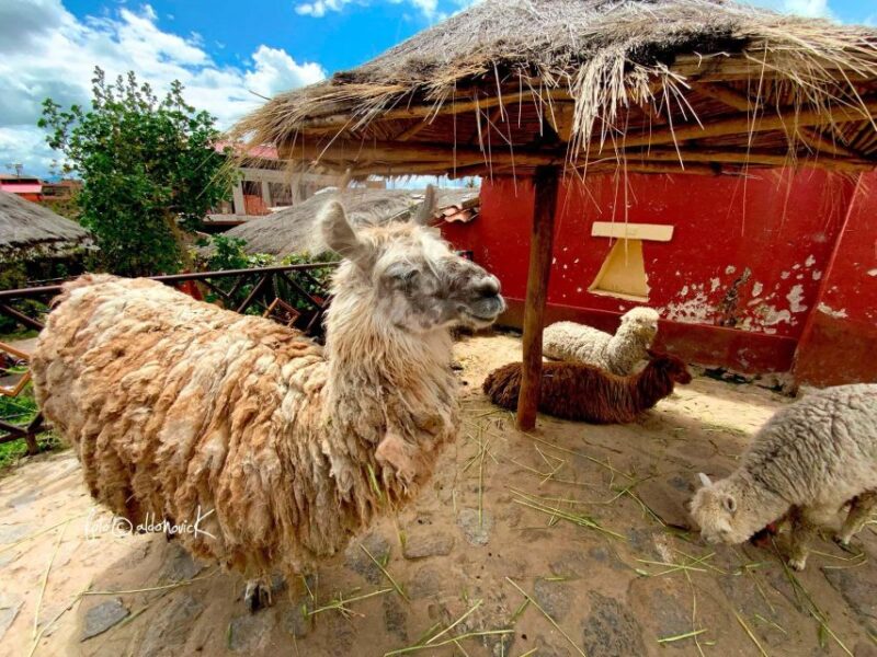 From Cusco || Tour to the Entire Sacred Valley of the Incas - Tour Details