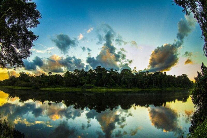 From Cusco: Tours to Manu National Park From 3n/2d - Inclusions