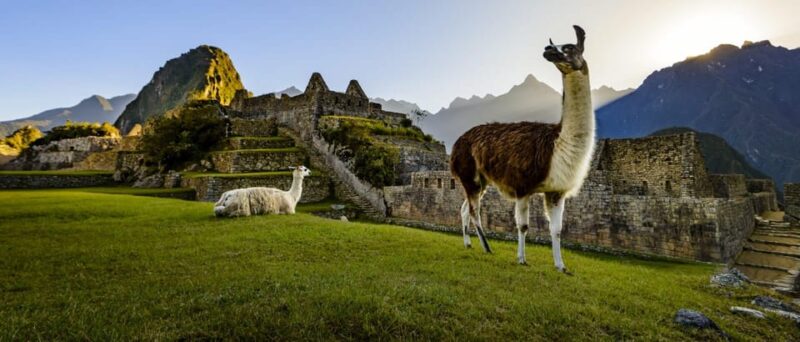 From Cusco || Visit Machu Picchu Full Day || Tour Private - Inclusions