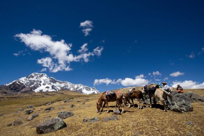 From Cuzco: Full-Day Ausangate Trek - Pickup and Departure