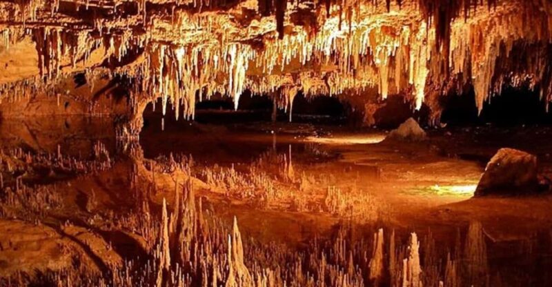 From D.C.:Day Tour to Luray Caverns&Shenandoah Skyline Drive - Itinerary Details