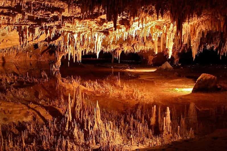 From D.C.:Day Tour to Luray Caverns&Shenandoah Skyline Drive - Highlights of the Tour