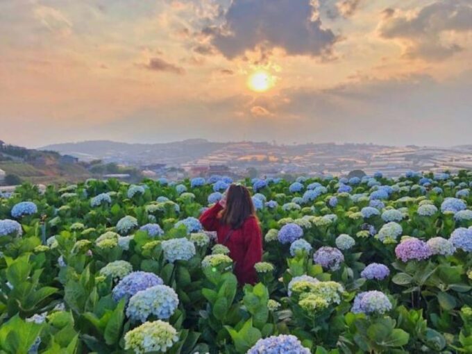 From Da Lat : Visit Da Lat 1 Day - Booking and Cancellation