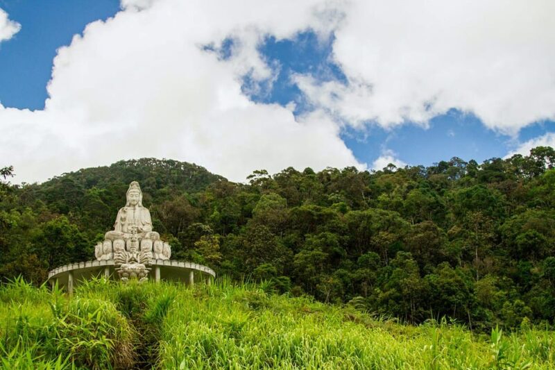 From Da Nang: Bach Ma National Park Trekking - Key Points
