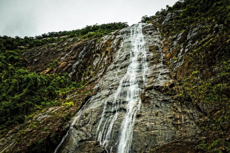 From Da Nang: Bach Ma National Park Trekking - Inclusions and Exclusions